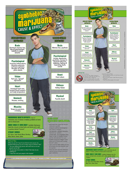 C&E Synthetic Marijuana Retractable Banner Package
