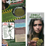 edible-marijuana-banner-web-banner_kit edible-marijuana-banner-web-banner_kit