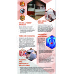 women-and-alcohol-banner-web-stand