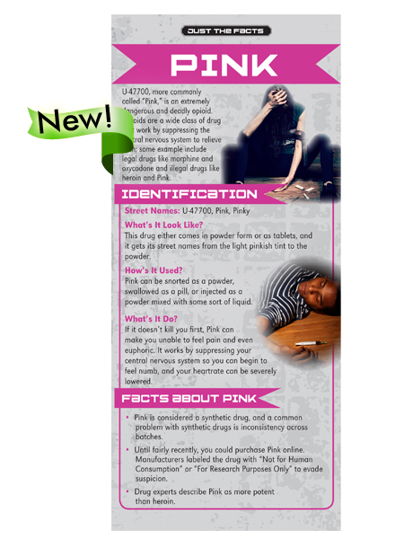 Just the Facts Rack Card: Pink