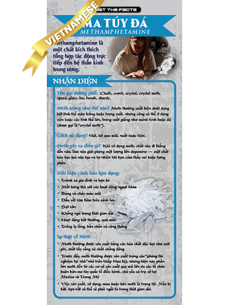 *VIETNAMESE* Just the Facts Rack Card: Meth (Methamphetamine)