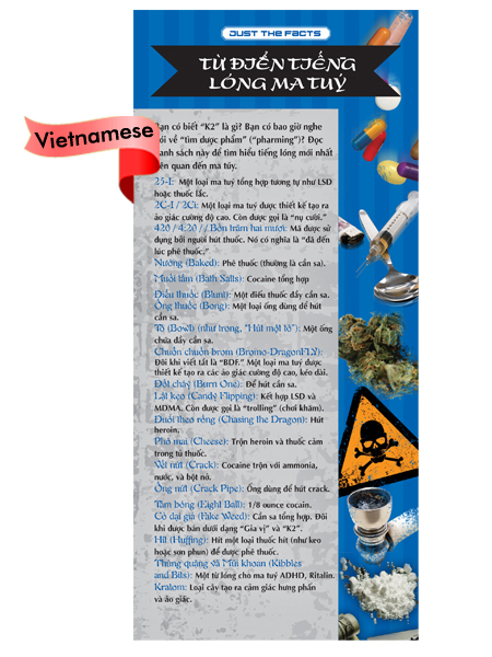 *VIETNAMESE* Just the Facts Rack Card: Drug Dictionary