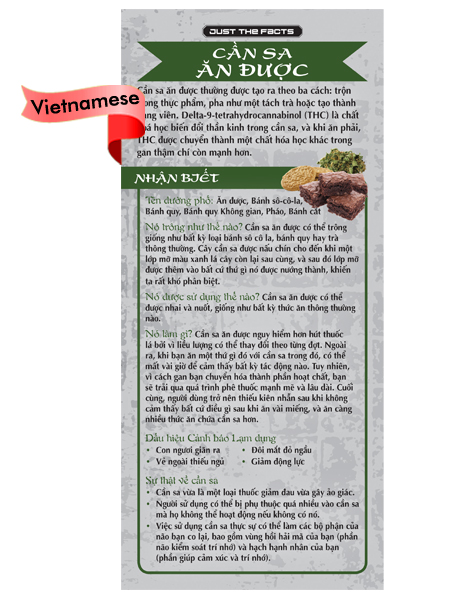 *VIETNAMESE* Just the Facts Rack Card: Edible Marijuana