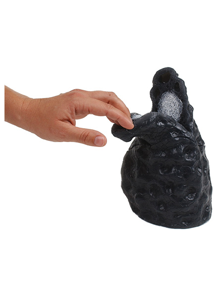 26813 Smoked Lung Model WEB